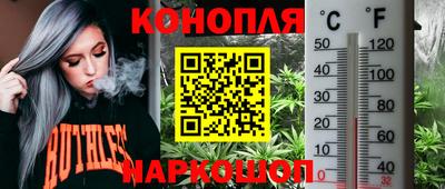 ГАЛЛЮЦИНОГЕННЫЕ ГРИБЫ Новокубанск