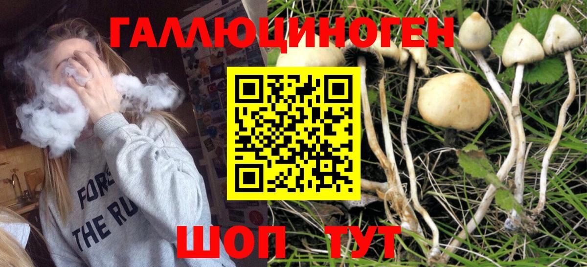 Псилоцибиновые грибы мухоморы  Вход с VPN  Галлюциногенные грибы Psilocybe  Сокол 
