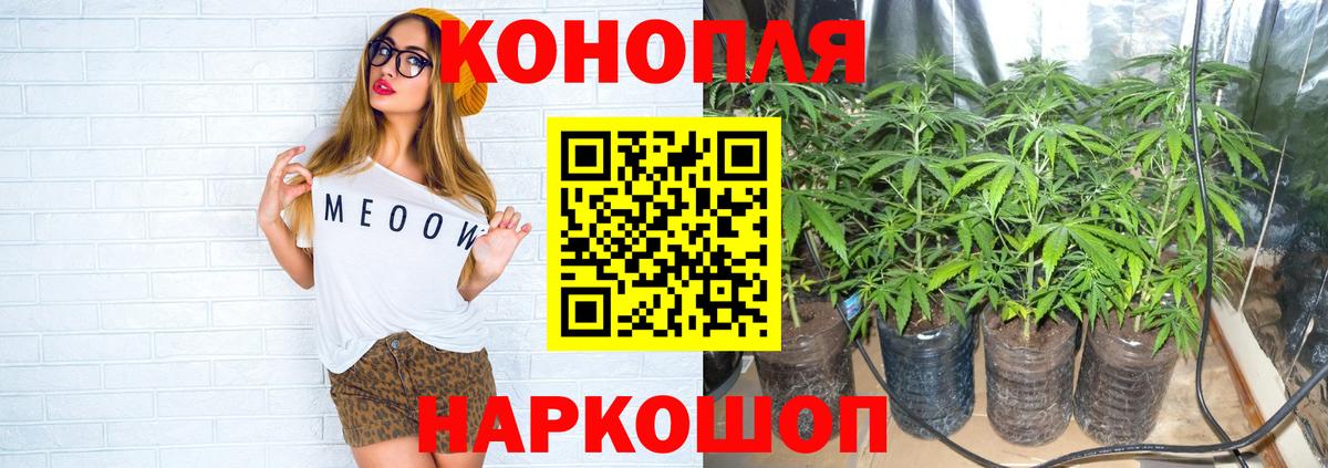 Конопля THC 21% Сокол